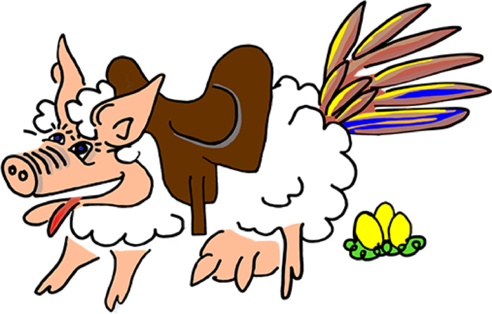 SBK-Produkte Heiko Rether